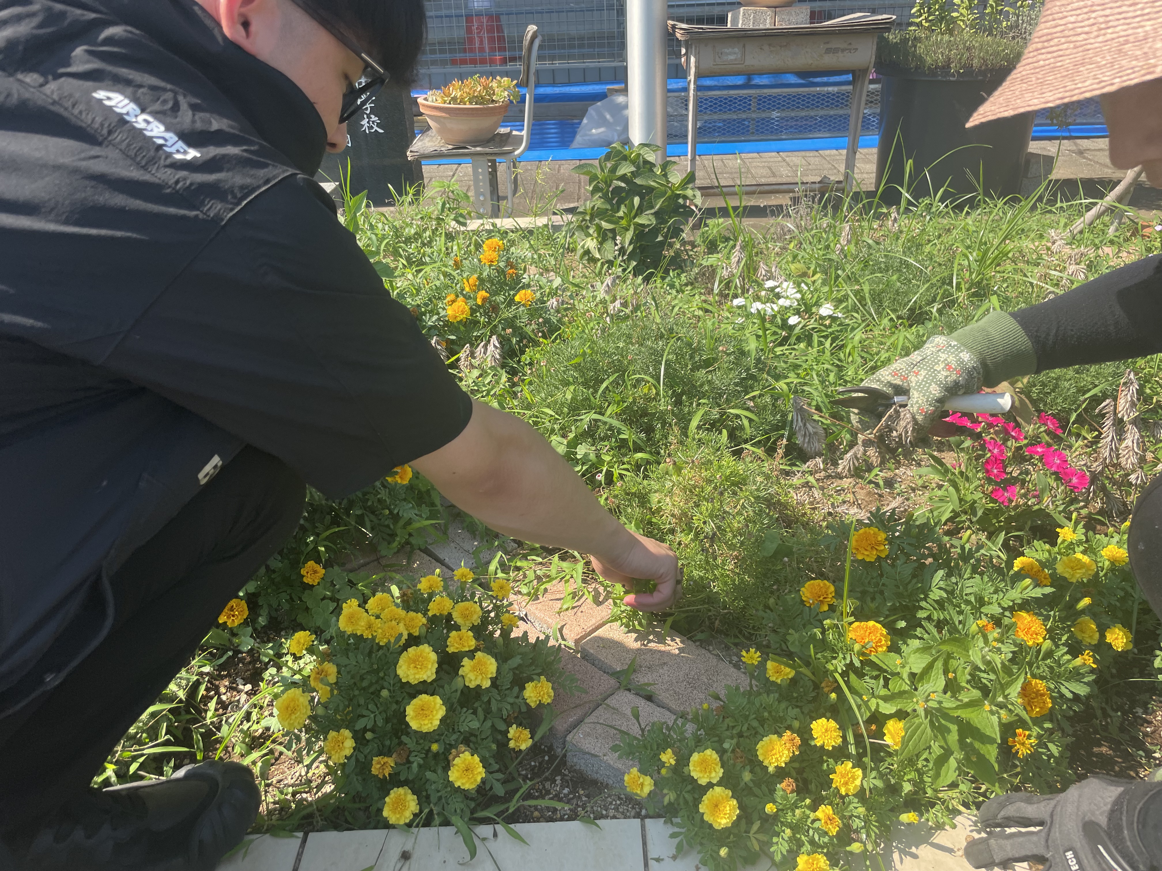 中学校緑化活動3